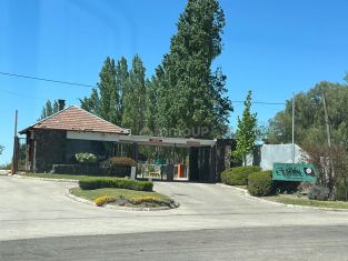 Lujan de Cuyo RUTA PANAMERICANA