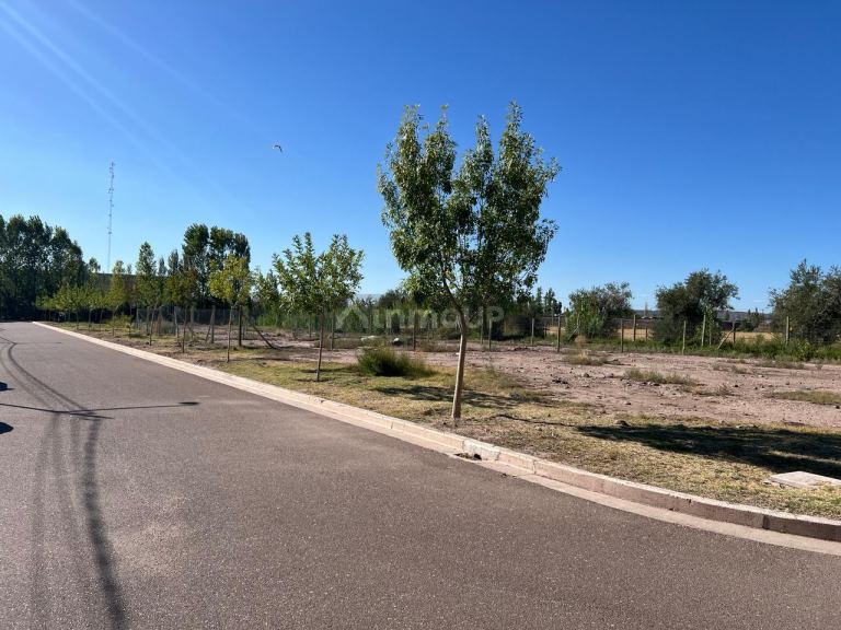 Lote en Venta en Lujan de Cuyo, Mendoza