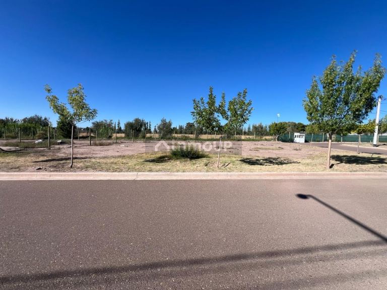 Lote en Venta en Lujan de Cuyo, Mendoza