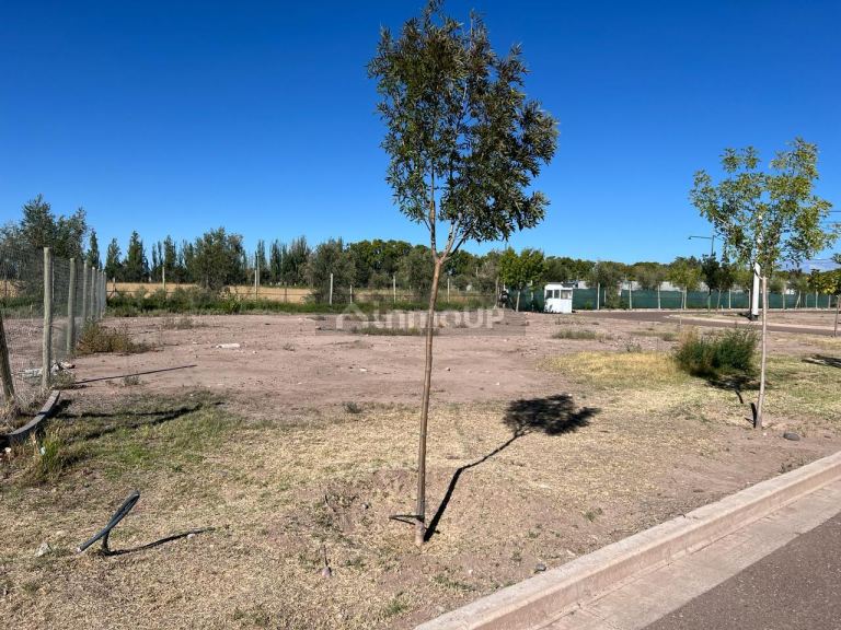 Lote en Venta en Lujan de Cuyo, Mendoza