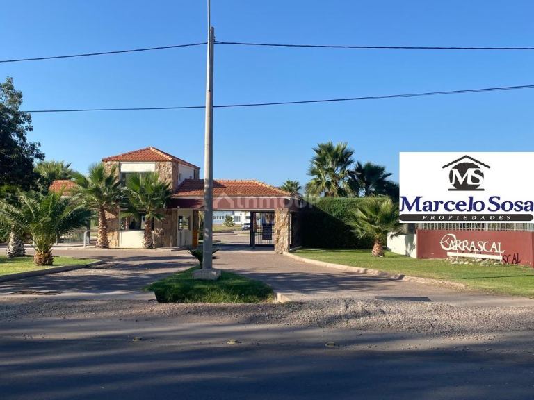 Lote en Venta en Lujan de Cuyo, Mendoza