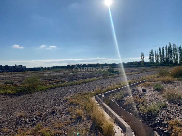 Lote en Venta en Lujan de Cuyo, Mendoza