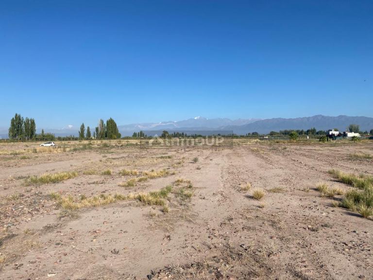 Lote en Venta en Lujan de Cuyo, Mendoza