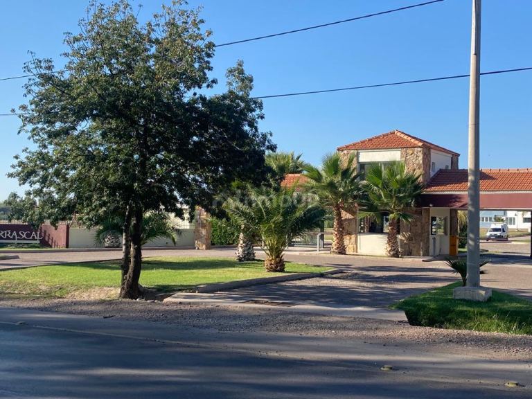 Lote en Venta en Lujan de Cuyo, Mendoza
