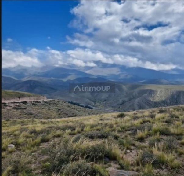 Lote en Venta en Lujan de Cuyo, Mendoza