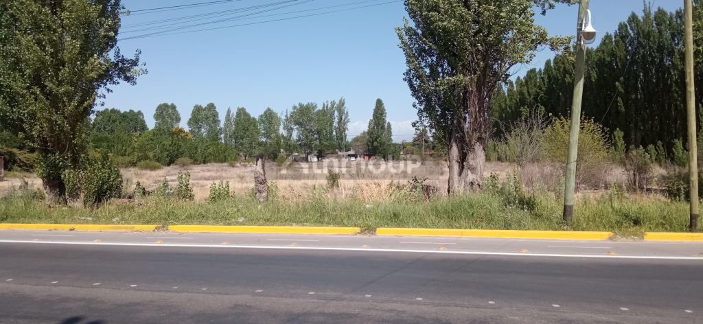 Lote en Venta en Maipu, Mendoza