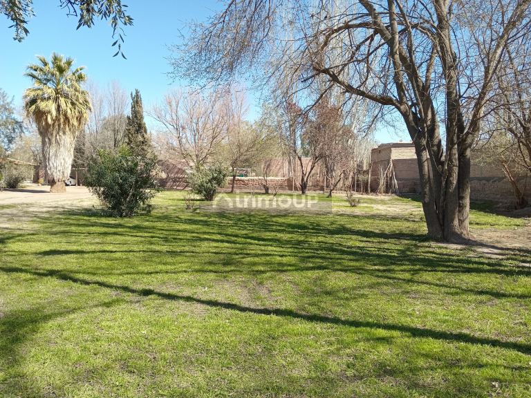 Lote en Venta en Lujan de Cuyo, Mendoza