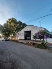 San Martin tropero sosa