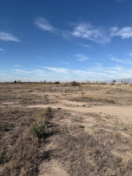 Terreno en Venta en San Carlos, Mendoza