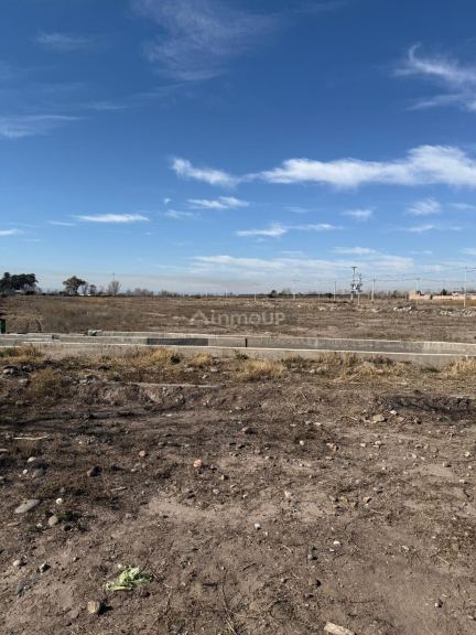 Terreno en Venta en San Carlos, Mendoza