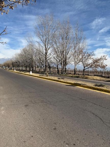 Terreno en Venta en San Carlos, Mendoza