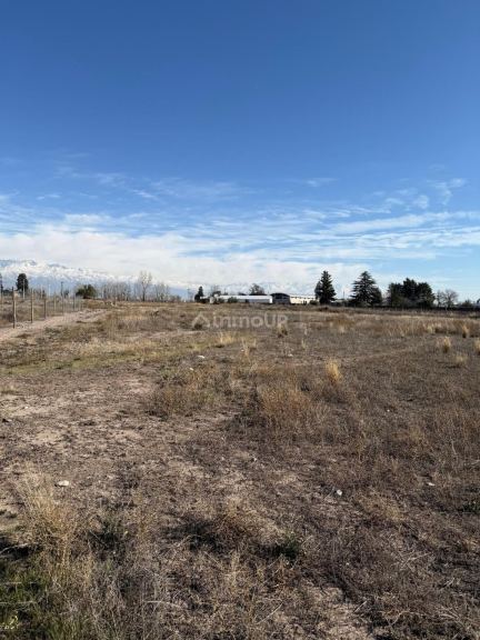 Terreno en Venta en San Carlos, Mendoza