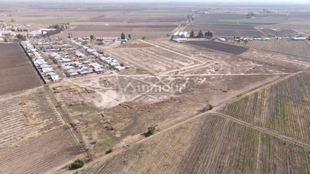 Terreno en Venta en San Carlos, Mendoza