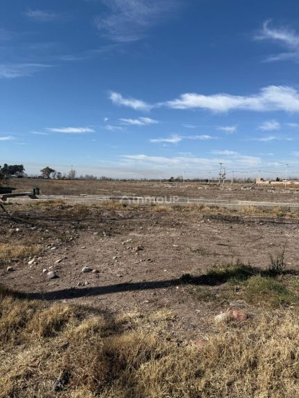 Terreno en Venta en San Carlos, Mendoza