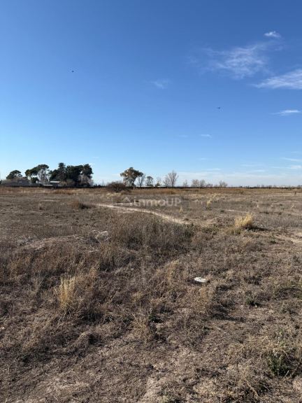 Terreno en Venta en San Carlos, Mendoza