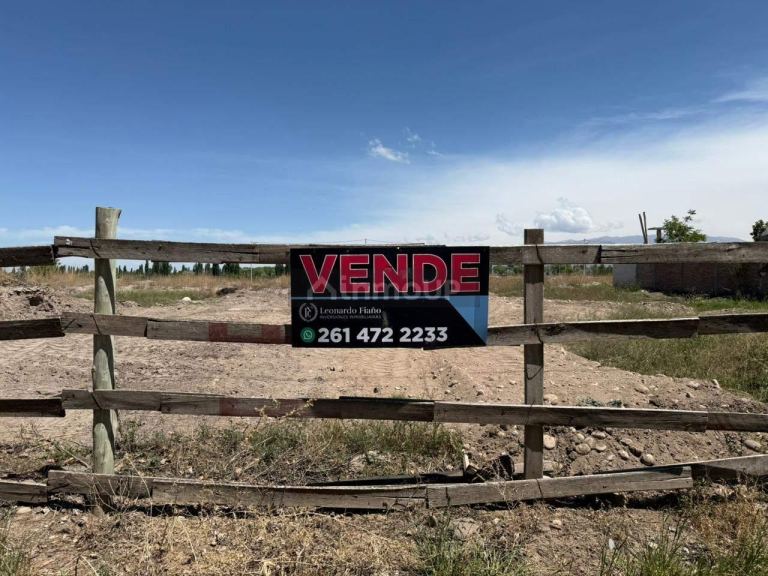 Terreno en Venta en San Carlos, Mendoza