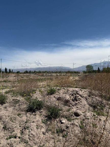 Terreno en Venta en San Carlos, Mendoza