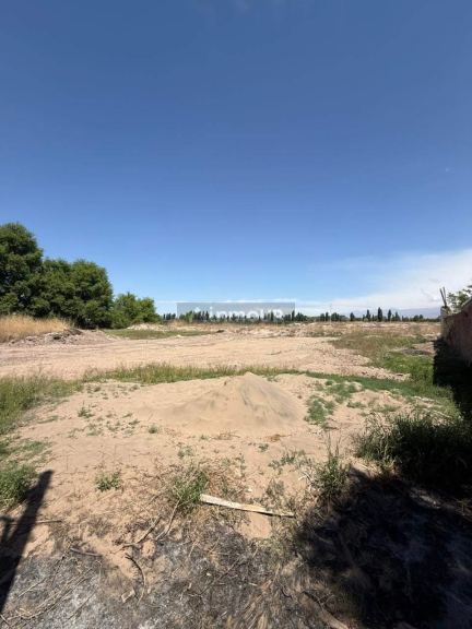 Terreno en Venta en San Carlos, Mendoza