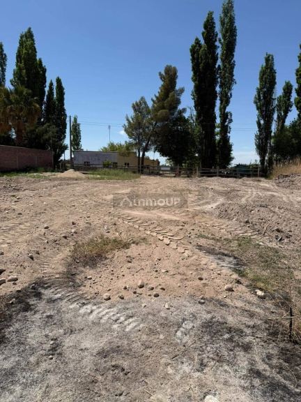 Terreno en Venta en San Carlos, Mendoza