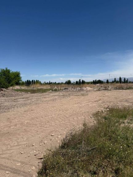 Terreno en Venta en San Carlos, Mendoza