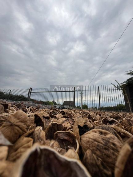 Terreno en Venta en Tunuyan, Mendoza
