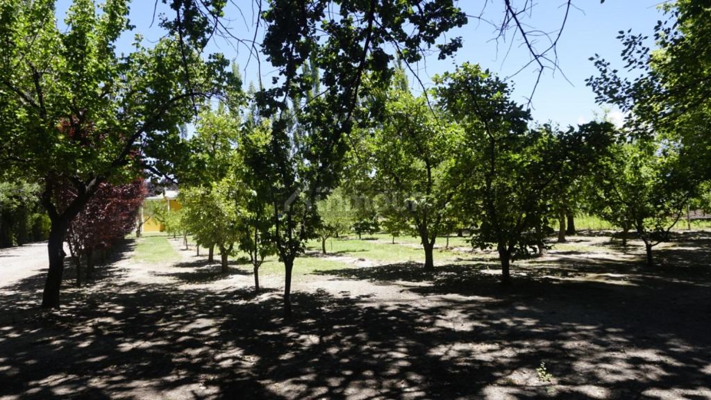 Chalet en Venta en Tunuyan, Mendoza