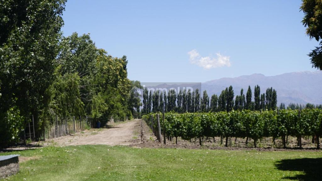 Chalet en Venta en Tunuyan, Mendoza