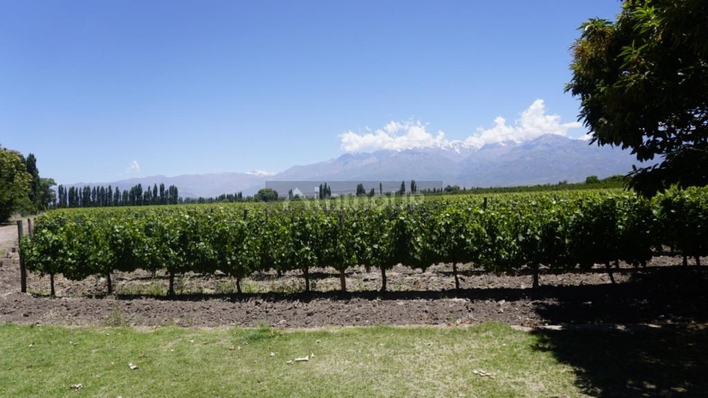 Chalet en Venta en Tunuyan, Mendoza