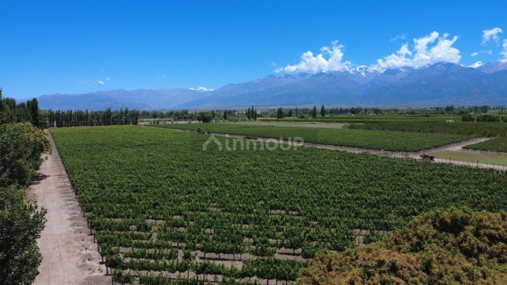 Chalet en Venta en Tunuyan, Mendoza