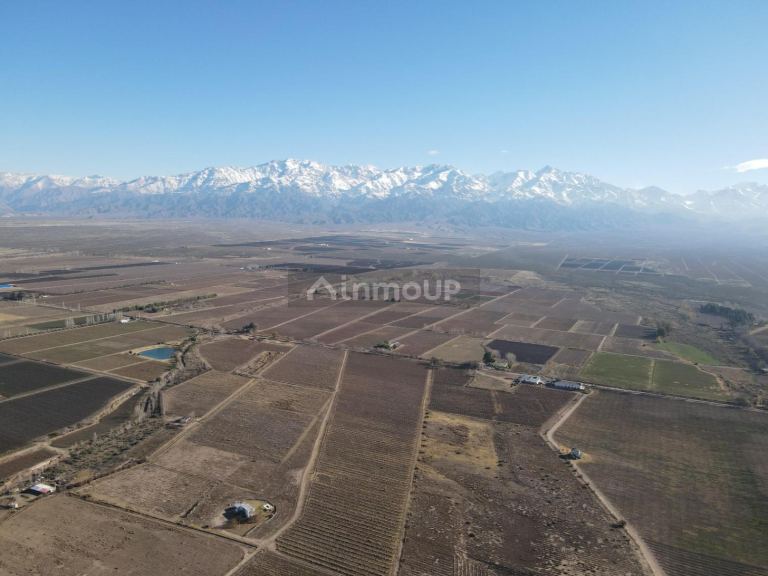 Terreno en Venta en Tunuyan, Mendoza