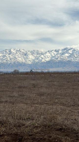 Terreno en Venta en Tunuyan, Mendoza