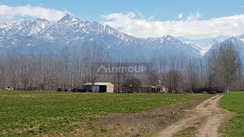 Finca en Venta en Tunuyan, Mendoza