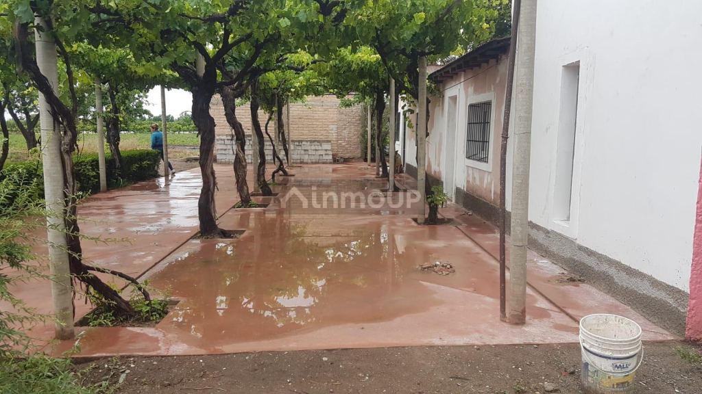 Finca en Venta en Tunuyan, Mendoza