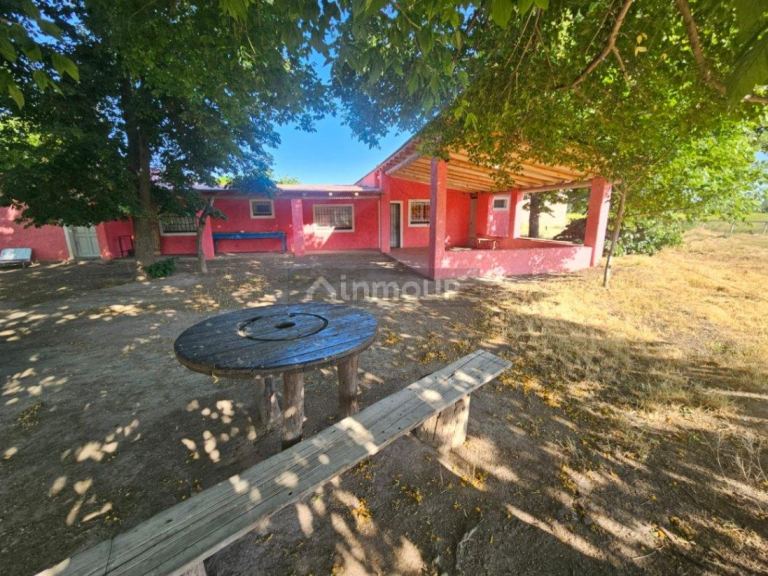 Finca en Venta en Tunuyan, Mendoza