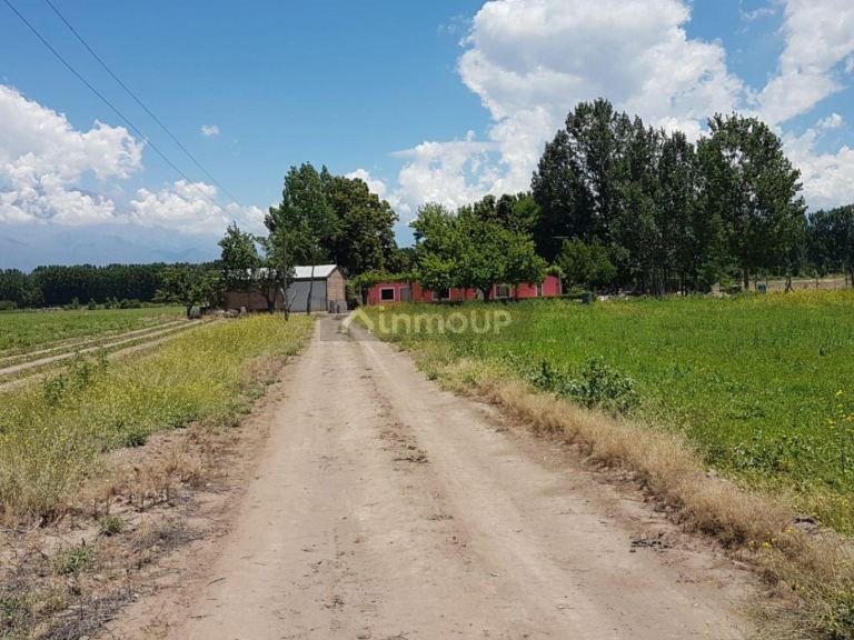 Finca en Venta en Tunuyan, Mendoza
