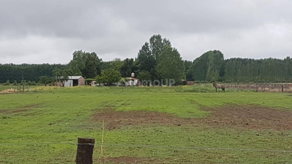 Finca en Venta en Tunuyan, Mendoza