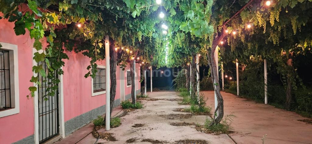 Finca en Venta en Tunuyan, Mendoza