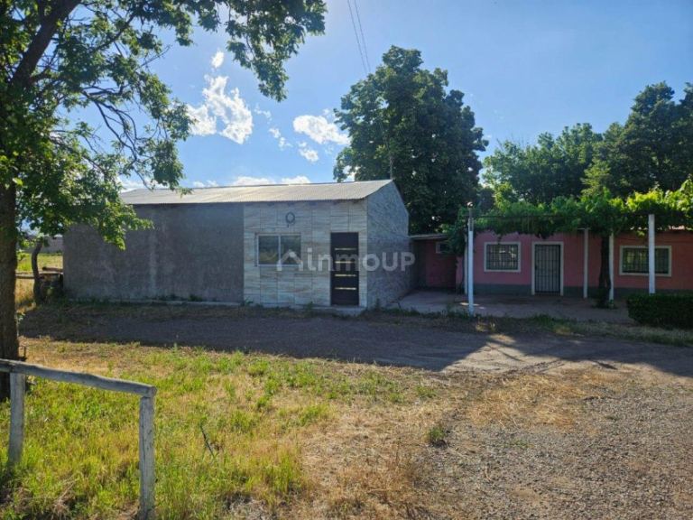 Finca en Venta en Tunuyan, Mendoza