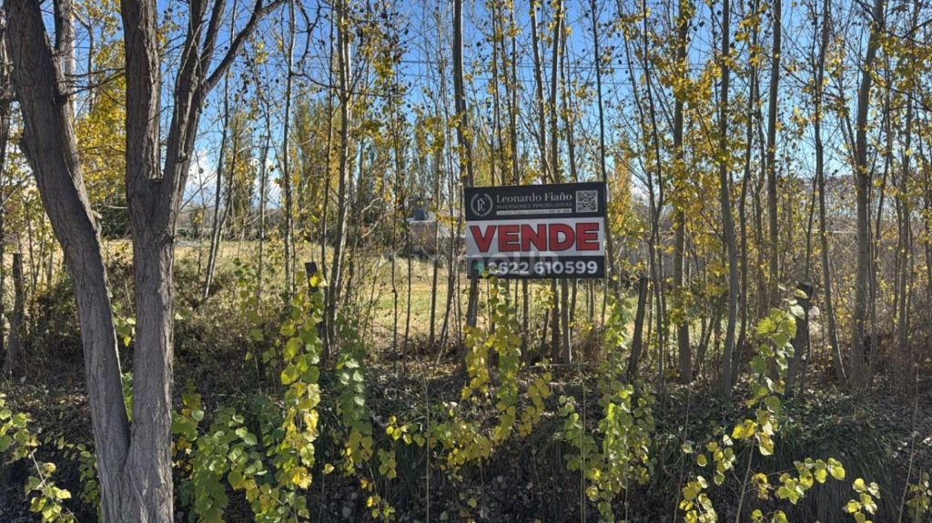 Terreno en Venta en Tunuyan, Mendoza