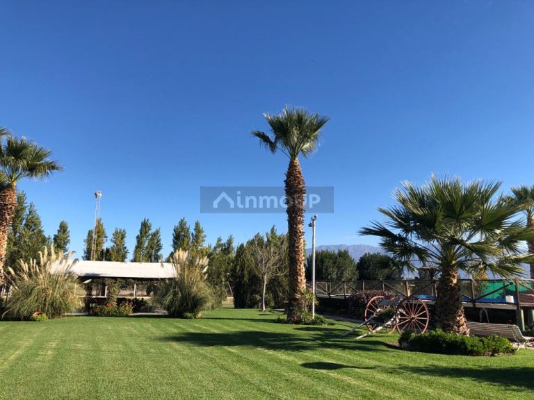 Quinta en Venta en Pocito, San Juan
