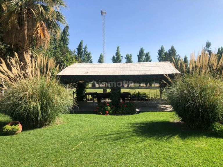 Quinta en Venta en Pocito, San Juan