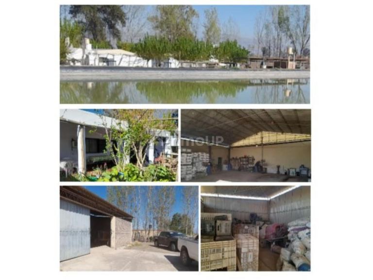 Finca en Venta en Sarmiento, San Juan