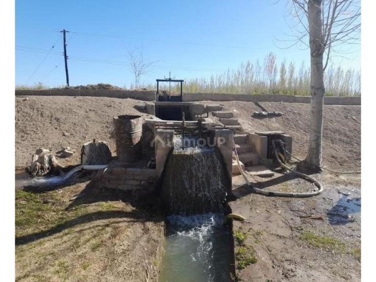 Finca en Venta en Sarmiento, San Juan