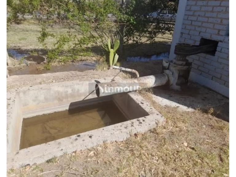 Finca en Venta en Sarmiento, San Juan
