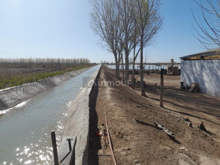 Finca en Venta en Sarmiento, San Juan