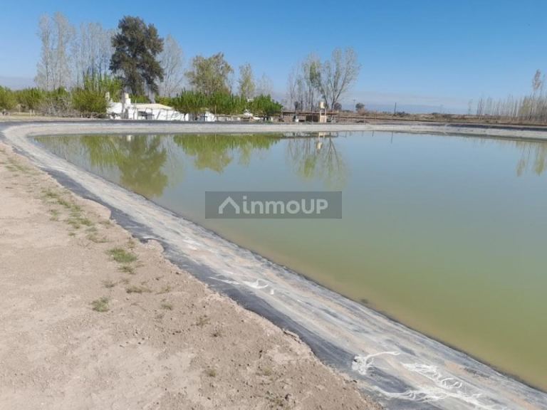 Finca en Venta en Sarmiento, San Juan