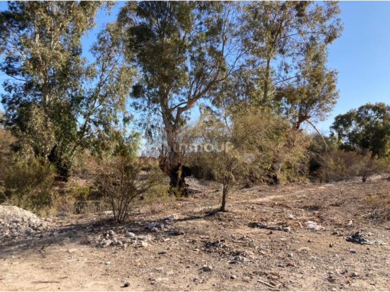 Lote en Venta en Albardon, San Juan