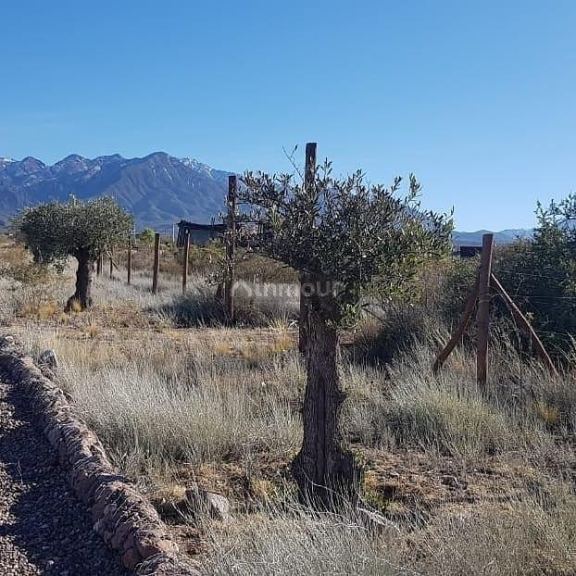 Lote en Venta en Lujan de Cuyo, Mendoza