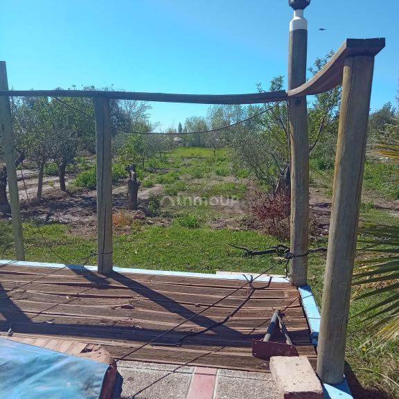 Finca en Venta en Maipu, Mendoza