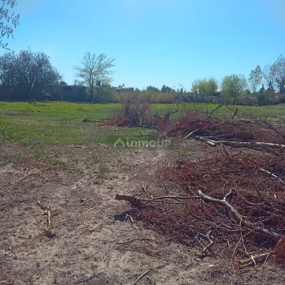 Finca en Venta en Maipu, Mendoza
